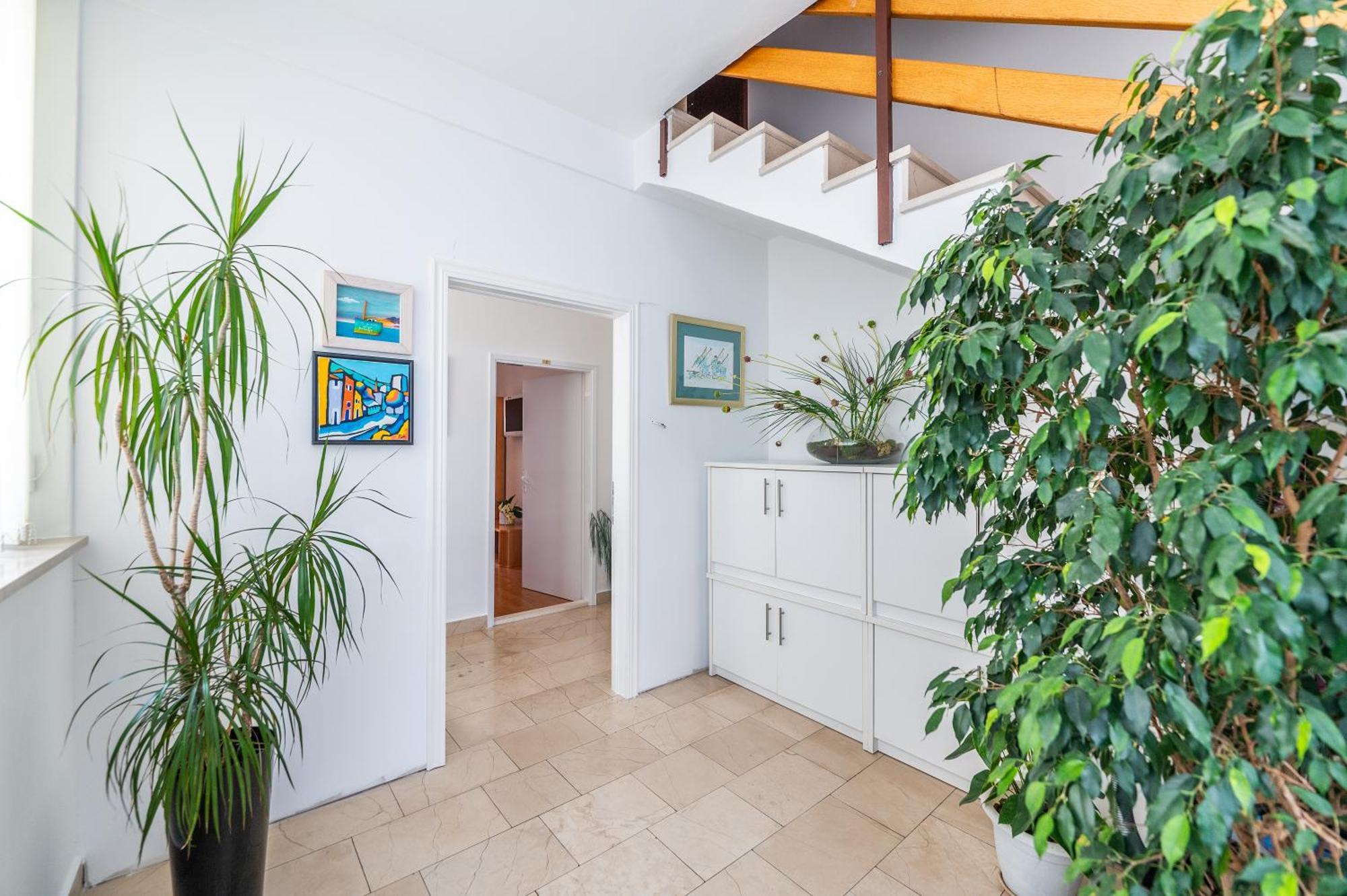 Apartments Sokol Makarska Exterior photo